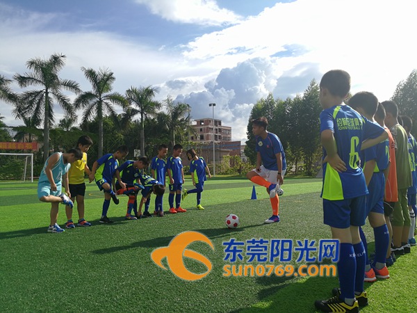 谢岗儿童兴趣培训,谢岗青少年篮球培训