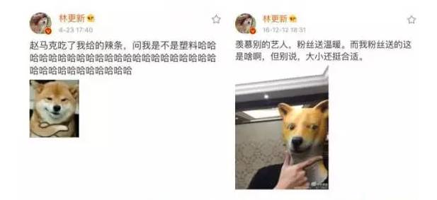 取向狙击晋江,取向狙击朴宰范