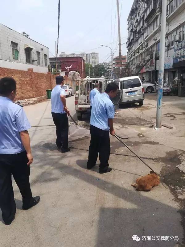 守护西部泉城槐荫基层警讯｜第四期