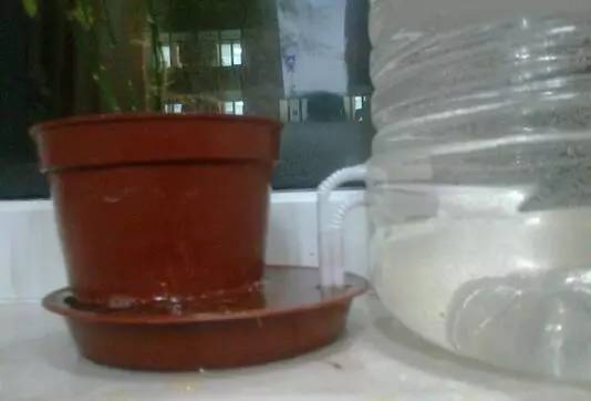 自制365天自动浇花神器,出差自制浇水神器