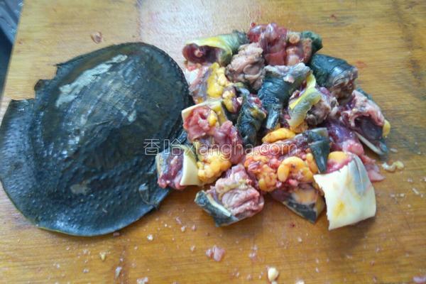 红烧甲鱼,红烧甲鱼炖鸡的做法