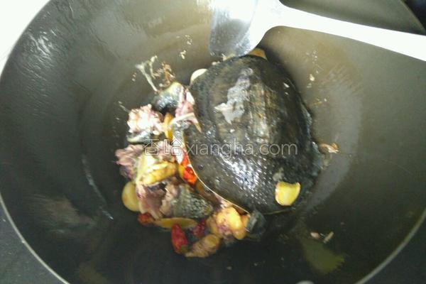 红烧甲鱼,红烧甲鱼炖鸡的做法