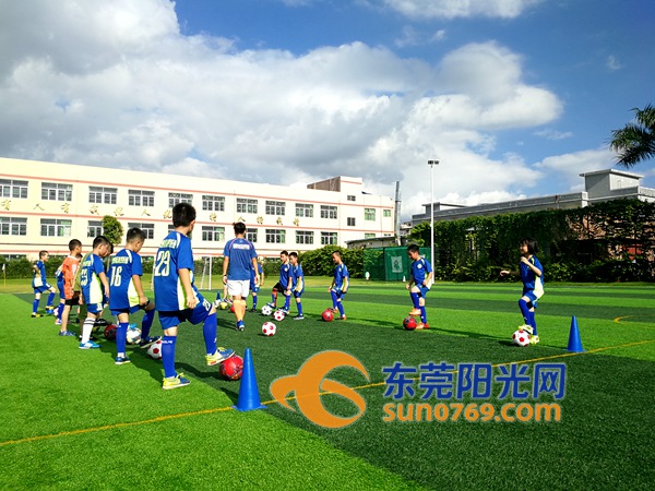 谢岗儿童兴趣培训,谢岗青少年篮球培训