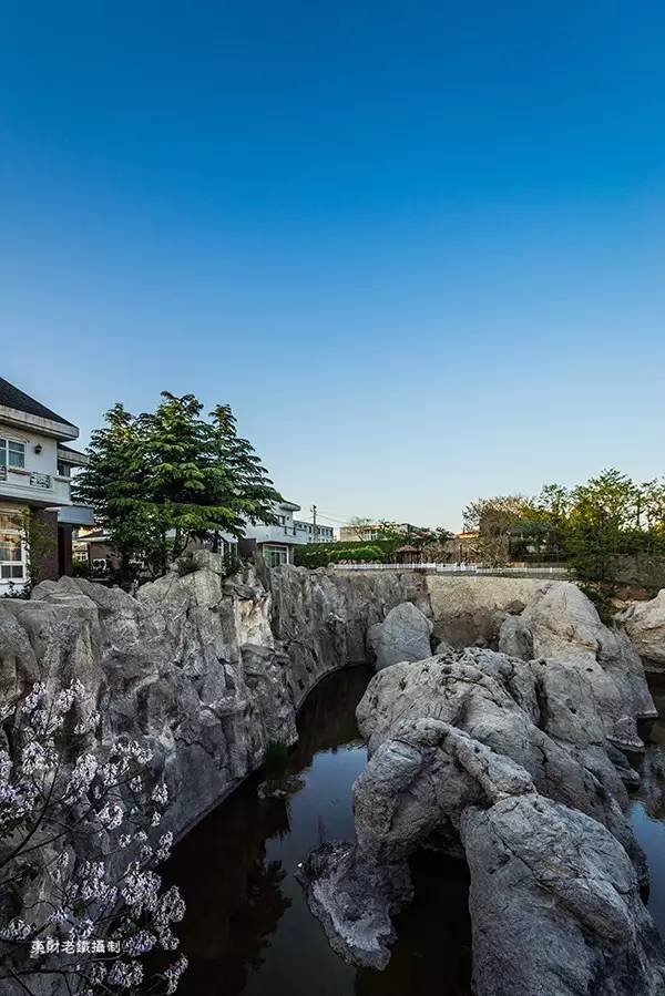 大连黑石礁异域风情街简介,旅大印象黑石礁店菜单