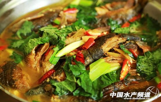 从颗粒无收到年赚百万，一位“农民赛车手”到石斑鱼“老大”的养殖之路