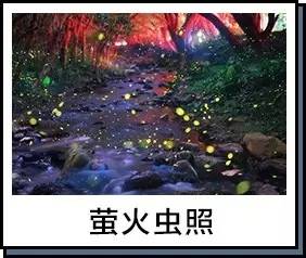 中国荧光海最佳观赏时间和地点,厦门蓝色荧光海是真实的吗