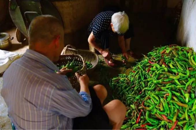 竹溪农家泡菜,竹溪特点泡菜有哪些