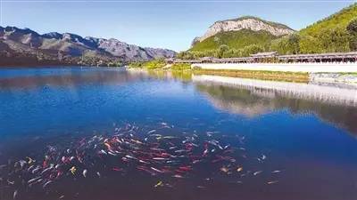 广西获得国家全域旅游示范区名单,广西全域旅游示范市