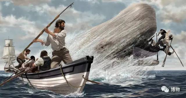 潜艇蓝鲸,蓝鲸与台风级潜艇对比