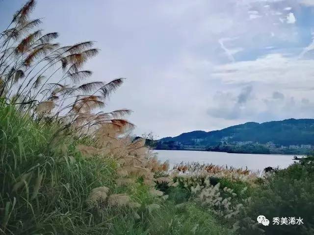 「浠世好文」白莲河上小天池