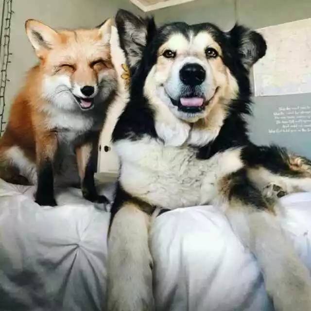 错过再等一年的视频,错过再等一年可能也等不到的优惠