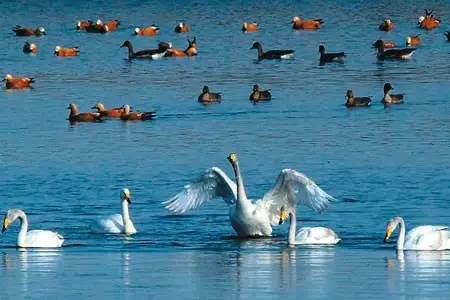 洛阳适合自由免费露营的地方,洛阳新安帐篷露营的地方