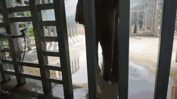 雅戈尔动物园门票免费几天,国庆节节雅戈尔动物园免门票吗