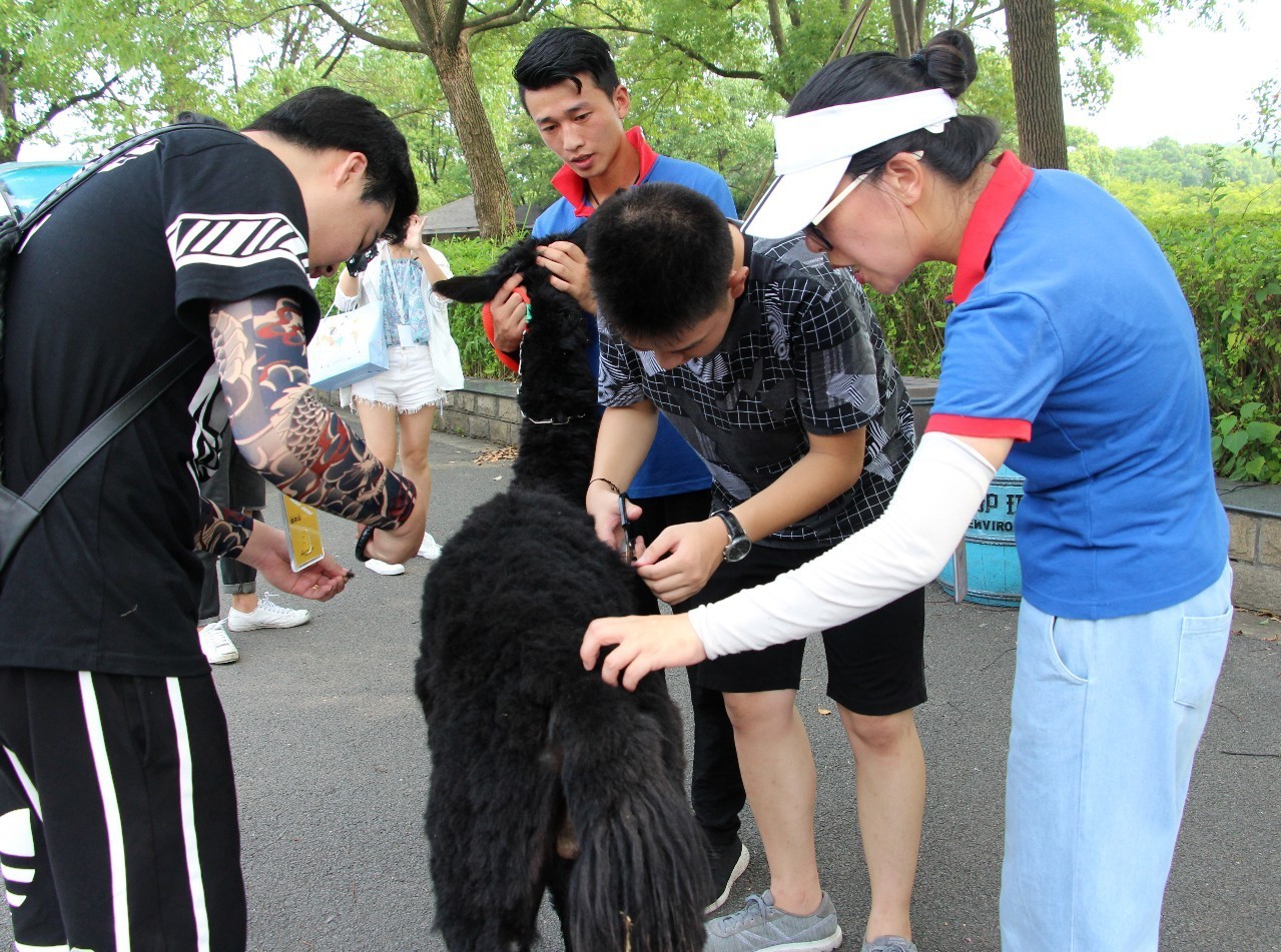 雅戈尔动物园门票免费几天,国庆节节雅戈尔动物园免门票吗