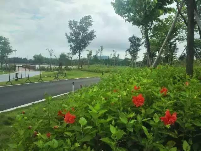 中山新晋景点,中山新增室内景点