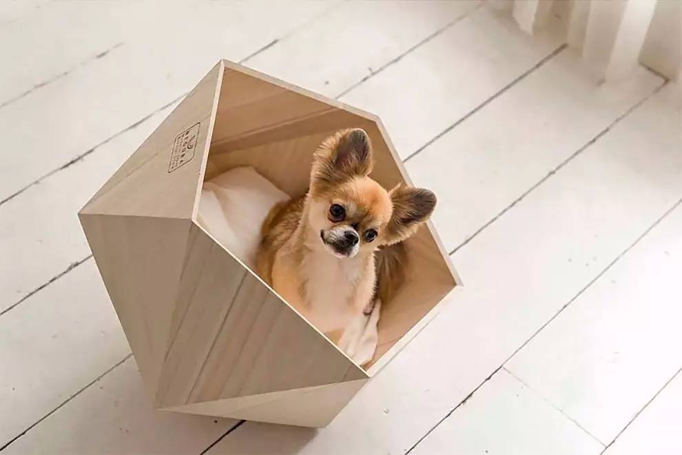 盘点那些实用的宠物生活用品,猫狗最实用的宠物用品