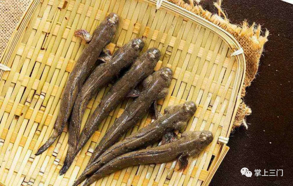 杭州吃货福利！县四套班子领导齐上阵，在省人民大会堂为三门小海鲜“吆喝”！