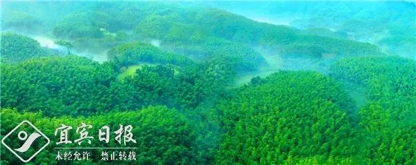 看金山银山全景图,看绿水青山美景