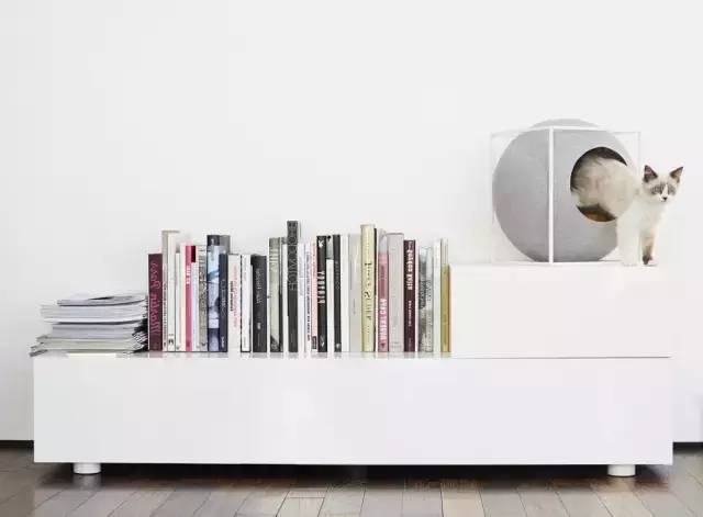 盘点那些实用的宠物生活用品,猫狗最实用的宠物用品