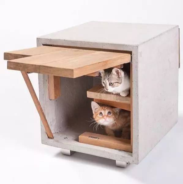 盘点那些实用的宠物生活用品,猫狗最实用的宠物用品