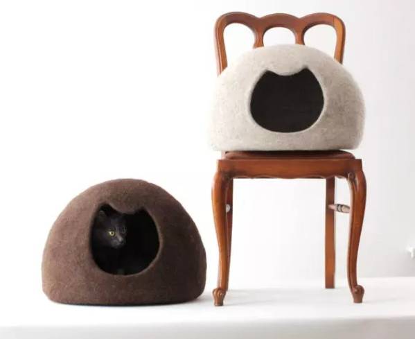 盘点那些实用的宠物生活用品,猫狗最实用的宠物用品