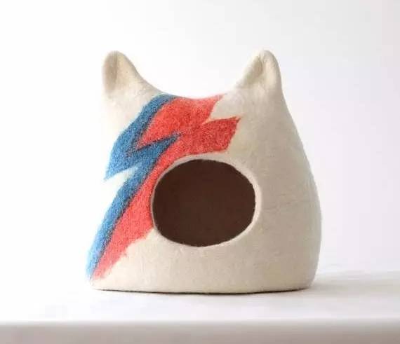 盘点那些实用的宠物生活用品,猫狗最实用的宠物用品