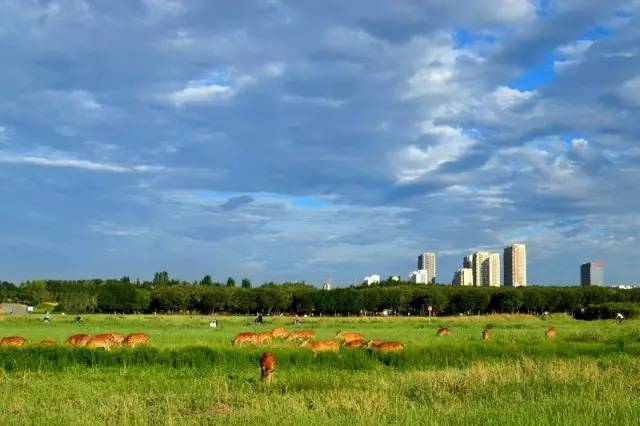 包头市8月份哪里好玩,包头8月活动