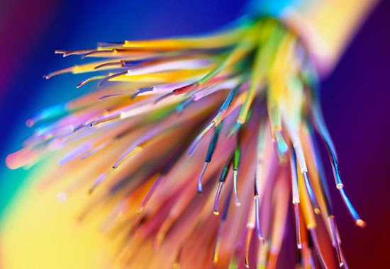 包头市8月份哪里好玩,包头8月活动