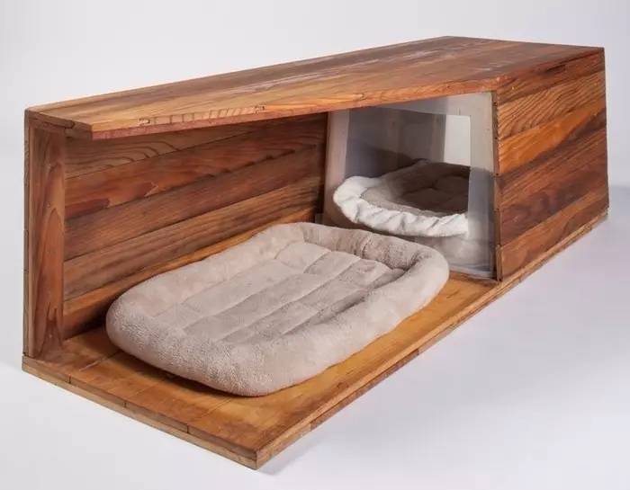 盘点那些实用的宠物生活用品,猫狗最实用的宠物用品