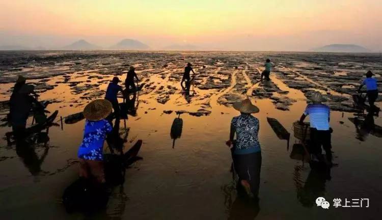 杭州吃货福利！县四套班子领导齐上阵，在省人民大会堂为三门小海鲜“吆喝”！