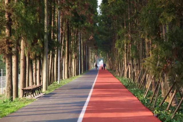 崇明体育运动基地,崇明区体育训练基地