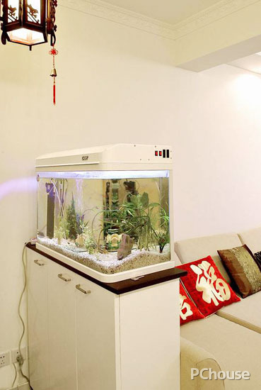 入门玄关风水大摆件,玄关入门处风水摆件图片