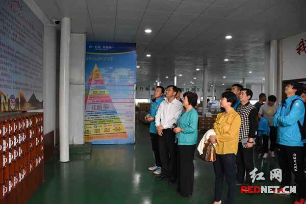 娄底市一队足球队,娄底一队篮球队