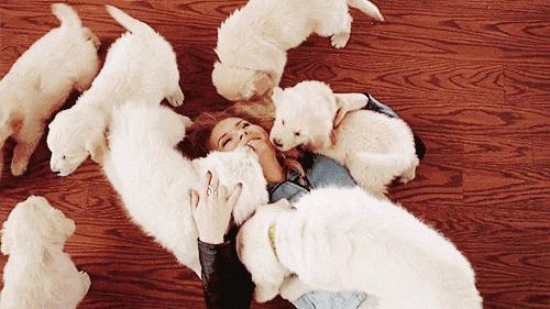 速看！南环菜场的这张告示彻底让这群人傻了眼只因他做了这件事