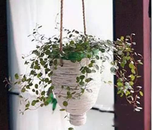 教你巧制精美花盆,做花盆大全简单方法