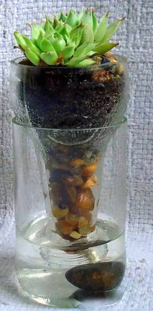 教你巧制精美花盆,做花盆大全简单方法