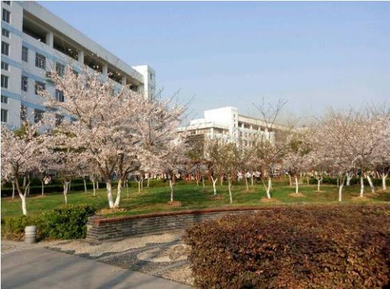 南京宿舍最好的专科大学,南京最好的大学宿舍