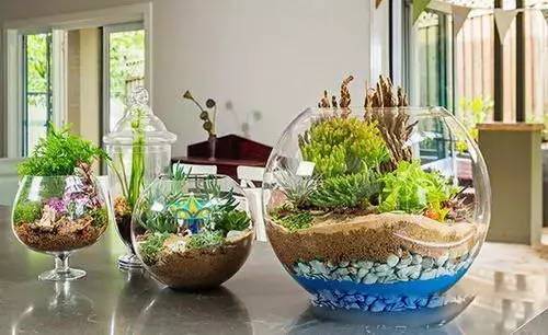 教你巧制精美花盆,做花盆大全简单方法