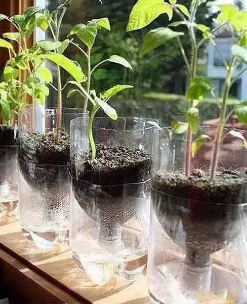 教你巧制精美花盆,做花盆大全简单方法