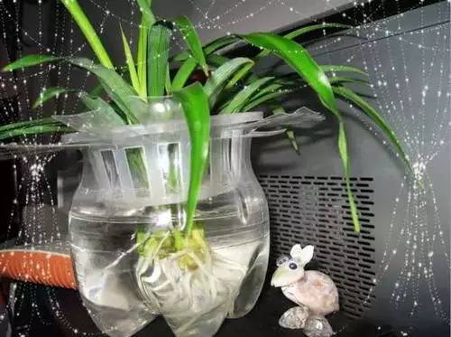 教你巧制精美花盆,做花盆大全简单方法