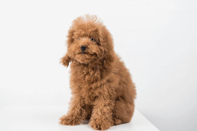 男朋友送你口红100支,男朋友一支口红都不愿意送你