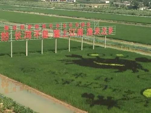 宁夏必买的十大名牌,g20杭州峰会国宴菜解密