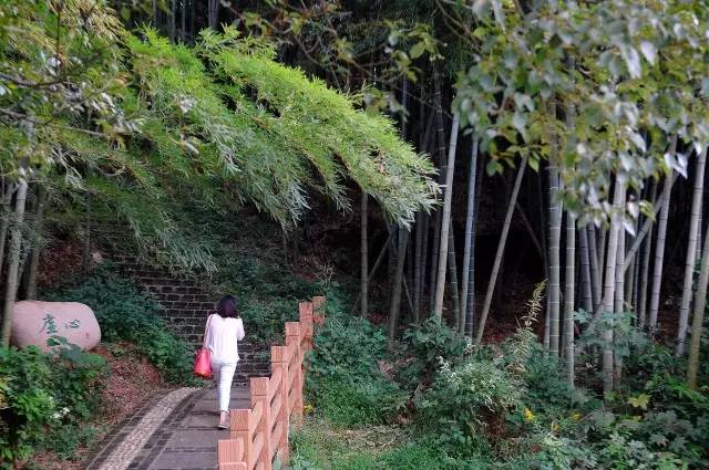 宁波北仑最好的地方,北仑有意思的地方