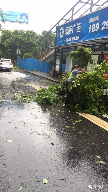 台风天鸽来袭广州 (广东台风天鸽路径)