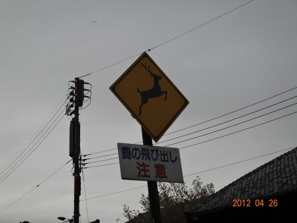 7天日本自由行多少钱,日本七天游自由行