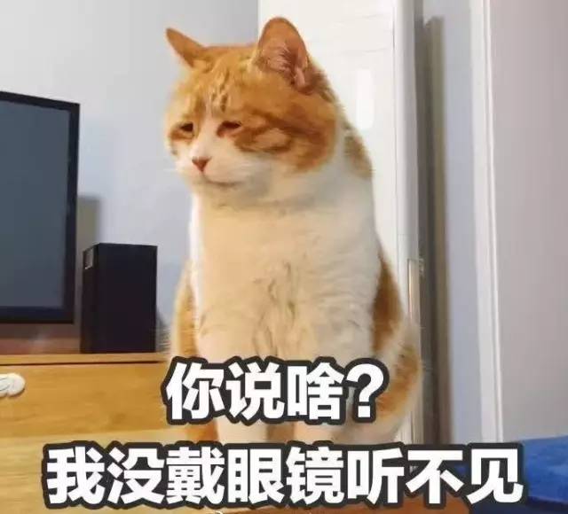 歪？别的小朋友都去吃好吃的了，你啥时候带我去啊？