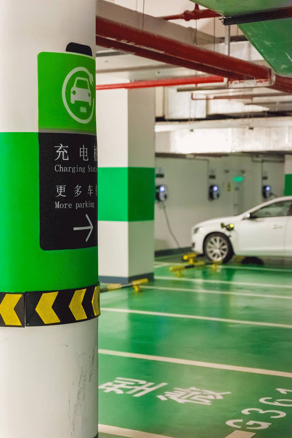 免费的午餐都有什么,免费的午餐真的是又香又好吃