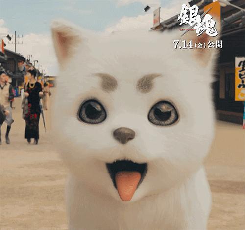 银魂真人版观影顺序,银魂真人剧毁了多少