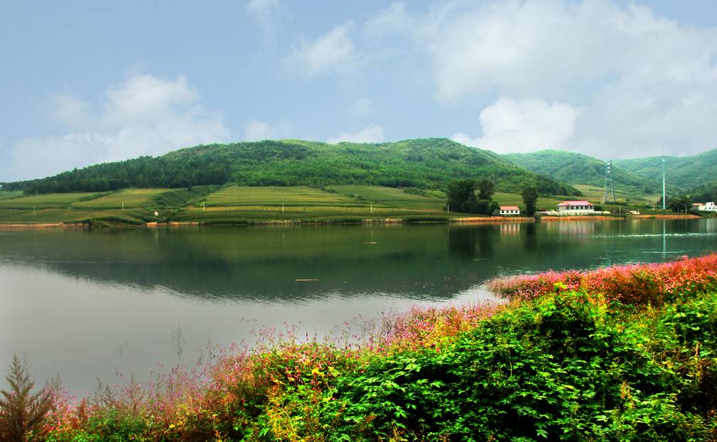 弓长岭风景的视频,弓长岭区夜景