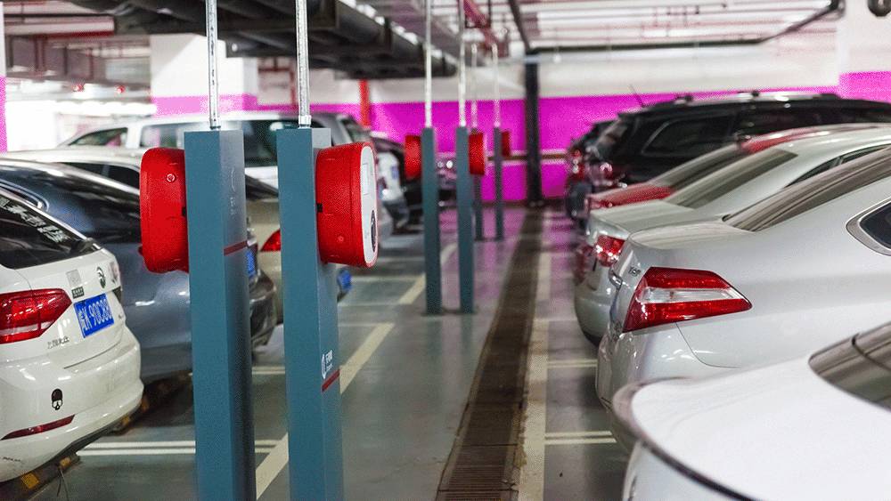 免费的午餐都有什么,免费的午餐真的是又香又好吃